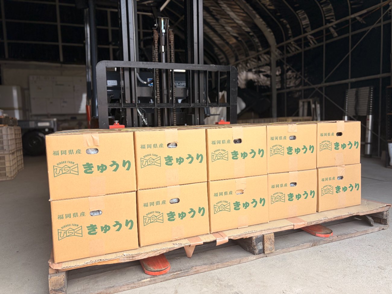 出荷を待つきゅうりの箱